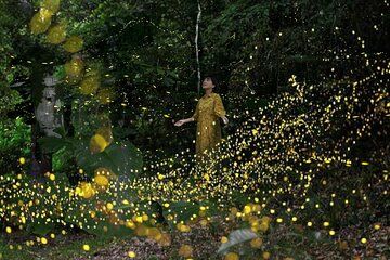 Shared Guided Tour to Okinawa Iriomote Island