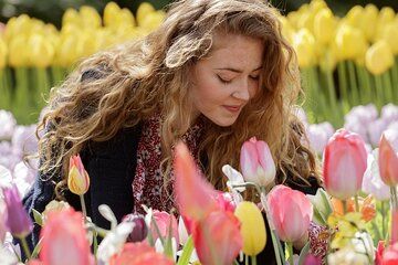 Keukenhof Day Trip from Rotterdam Cruise Terminal & City Center