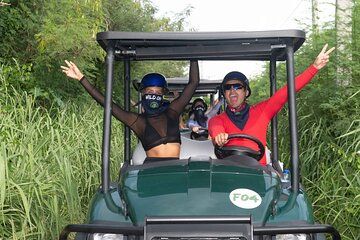 Art and Forest Way Combo