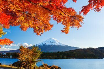 Airport transfer between Narita and Mount Fuji or Hakone Onsen