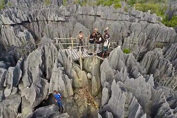 Tsingy DE Bemaraha Kirindy and Av ENue Des Baobab in 4 Days