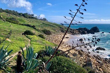 Private Prehistoric and Ancient Tour in Strait Natural Park