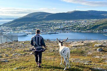 Private Hammerfest Reindeer and Stories A Sami Cultural Adventure
