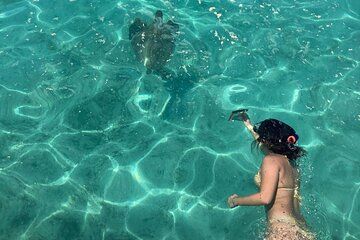 Full Day Nouméa Signal Island Turtle Tour