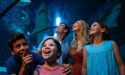 SEA LIFE Sunshine Coast Aquarium Entrance Ticket