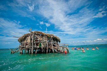 Jamaica South Coast Tour YS Falls, Pelican Bar, Black River