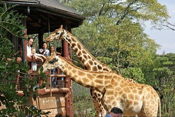 Nairobi Hidden Gems A Shared Tour Experience