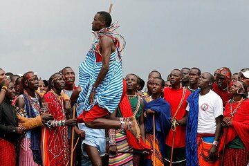 Day Trip to Amboseli Wildlife Safari and Masai Village with Lunch