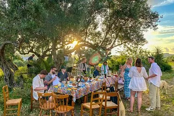 Wine, oil and honey tasting, from Alcamo and C/mmare Golfo