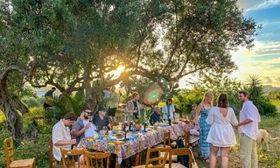 Wine, oil and honey tasting, from Alcamo and C/mmare Golfo