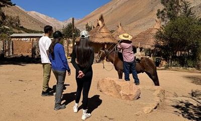 Valley of Elqui Cochiguaz Horseback Riding Nature and Wines