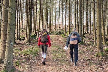 Hike with Wild Forage Surviving Tips and Local Lunch at the Lake