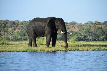 9 Day Safari Adventure Victoria Falls Chobe Okavango Delta