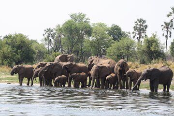 11 Days Victoria Falls To Okavango Delta Experience