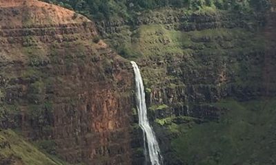 Kauai Shore Excursion - Waimea Canyon Adventure Tour - Nawiliwili