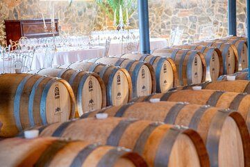 Discover San Gimignano from Livorno