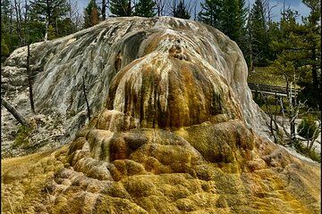 Private Yellowstone Wildlife and Photo Tour’s Upper Loop Cody Wy