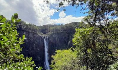 Port Macquarie day tour to Ellenborough Falls & Comboyne Rock
