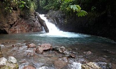 Rainmaker Hike and Hanging Bridges