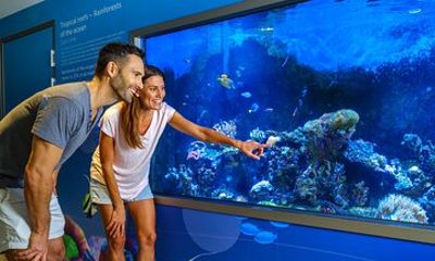 Marine Discovery Centre