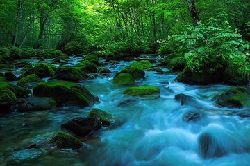 Lake Towada Cruise and Oirase Gorge Drive with Hakkoda Ropeway