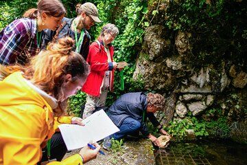 Wettingen Foxtrail Stella