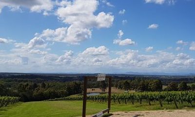 Full Day Private Wine Tour Exclusively Tailored To Suit You