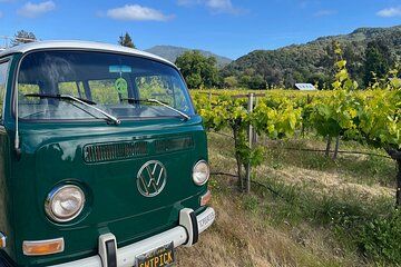 Carmel Valley Wine Tour in a Vintage VW Bus