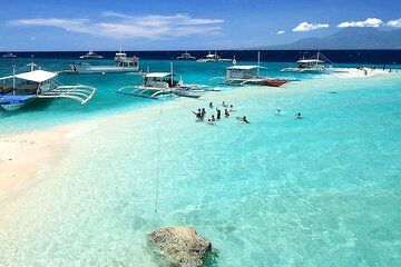 Whale Watching in Sumilon Island with Ocean View Resort and Lunch