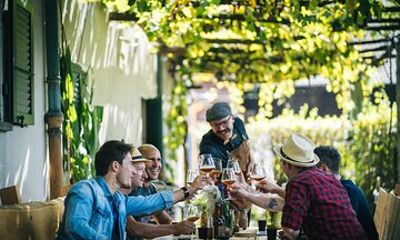 Organic malt production and beer tasting at the Piano di Magadino