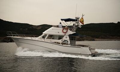 Private Tour with Dolphin Watching in Algeciras Bay