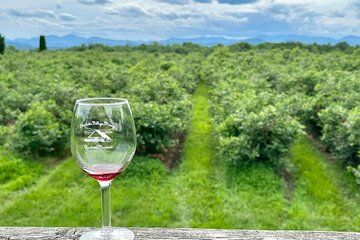 Small Group Wine & Cider Tour in Vermont