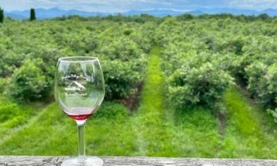 Small Group Wine & Cider Tour in Vermont