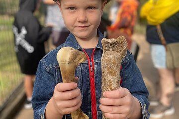 DINOSAUR and FOSSIL ZOO TOUR Rockhampton