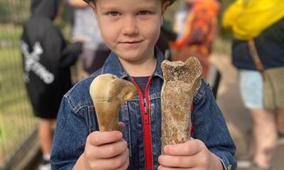 DINOSAUR and FOSSIL ZOO TOUR Rockhampton