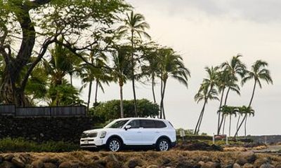 Road to Hana Scenic Tour