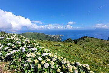 Complete Tour of Flores Island in the Azores