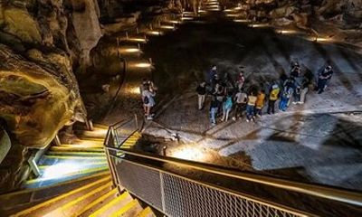 Oudtshoorn Cango Caves and Ostrich Experience with Lunch