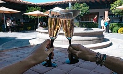 Cheese and Wine Tour in a Day from Queretaro