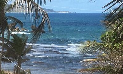 The Private Grand Island Tour Of Barbados
