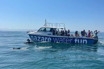 Boat Tour: Observation OF Cetaceans and Canyon DA Nazareth