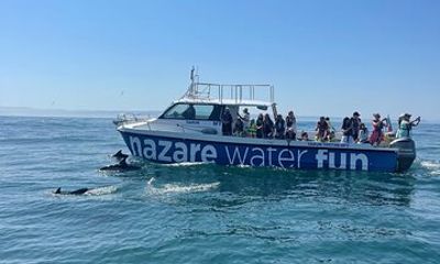 Boat Tour : Observation of Dolphins and Nazareth Canyon