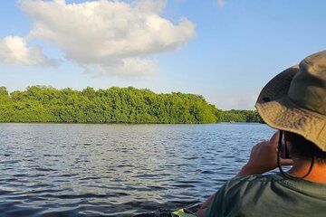 Basking in Nature during a Caroni Bird Sancturary Tour