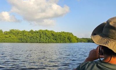 Basking in Nature during a Caroni Bird Sancturary Tour