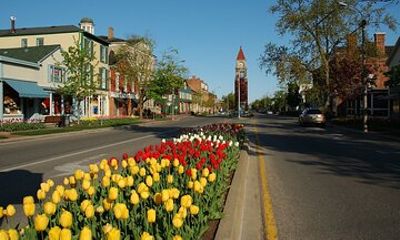 Private 5 Hour Wine Tour in Niagara-on-the-Lake