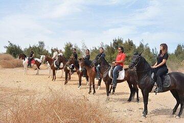 Hurghada: One-Hour Horseback Journey Across the Desert Sands