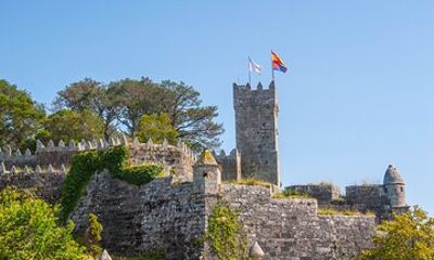 Wild Southern Atlantic Coast Private Tour from Vigo