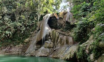 8 Hours Private Tours in Puerto Rico