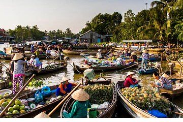 Mekong Delta Private Day Tour from Ho Chi Minh City