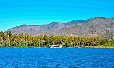 Acapulco Shore Excursion: Coyuca Lagoon Cruise